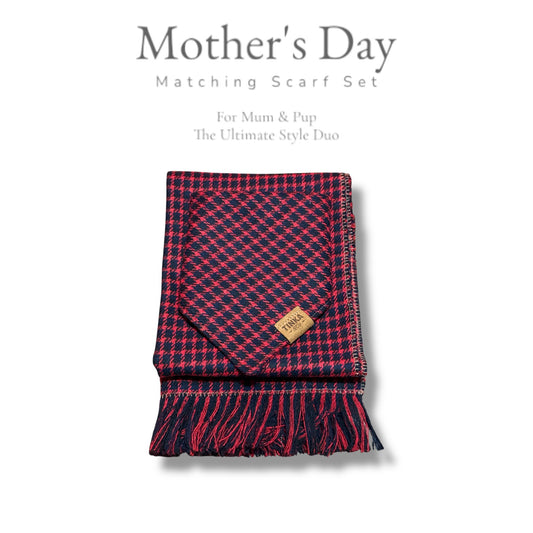 Red Bundle: Human Scarf and Matching Dog Bandana