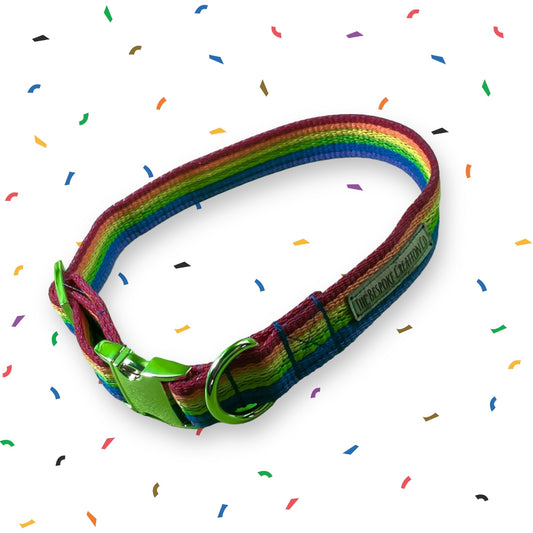 Pride Dog Collar