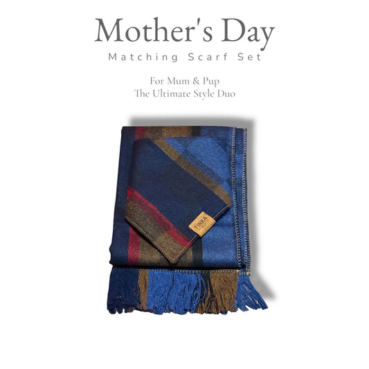 Blue Bundle: Human Scarf and Matching Dog Bandana