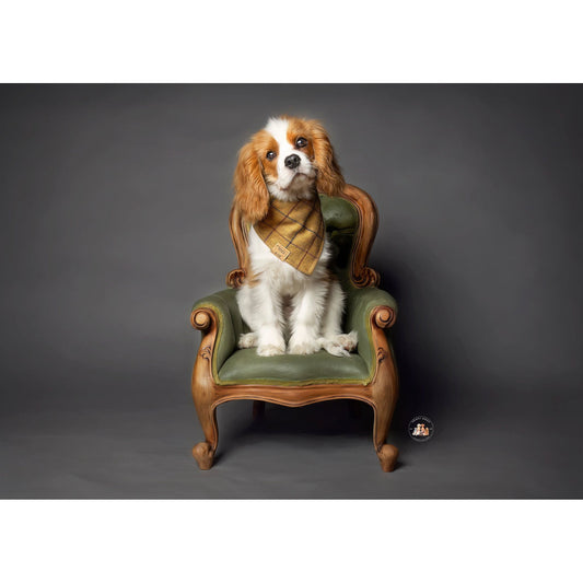 Mustard Brown Check | Dapper Dog Bandana