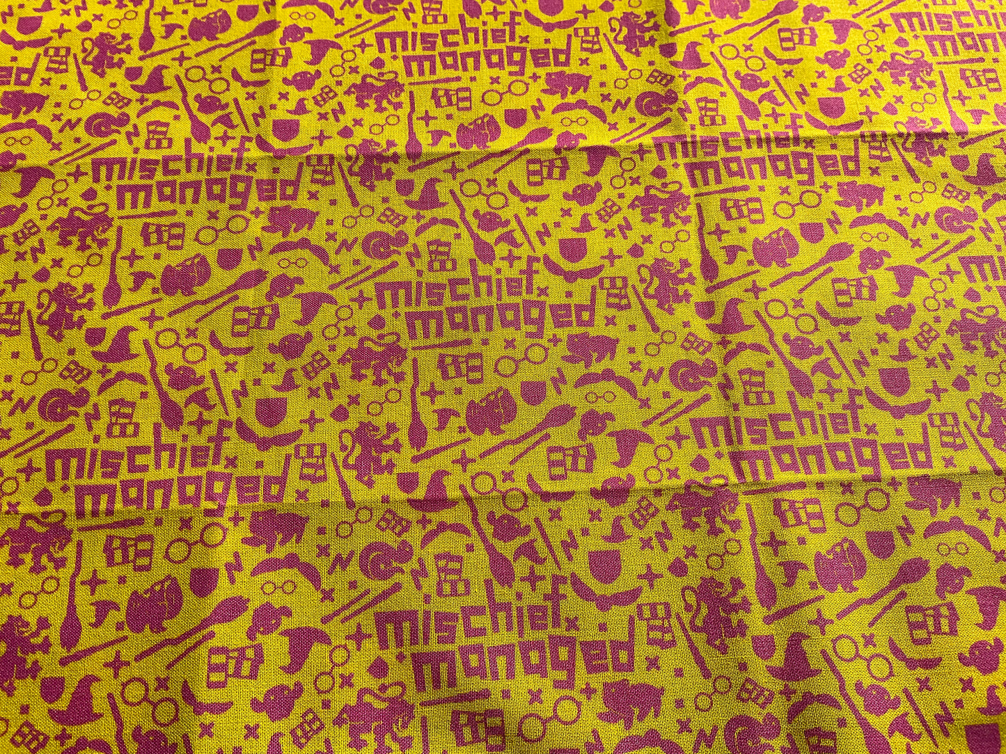 Harry Potter & Friends | Dog Bandana