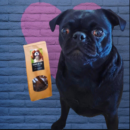 Kangaroo Fillet - Dehydrated Dog Treats