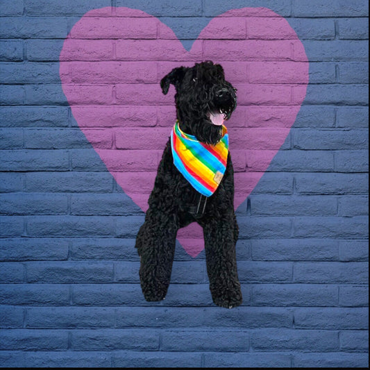 Pride | Dog Bandana
