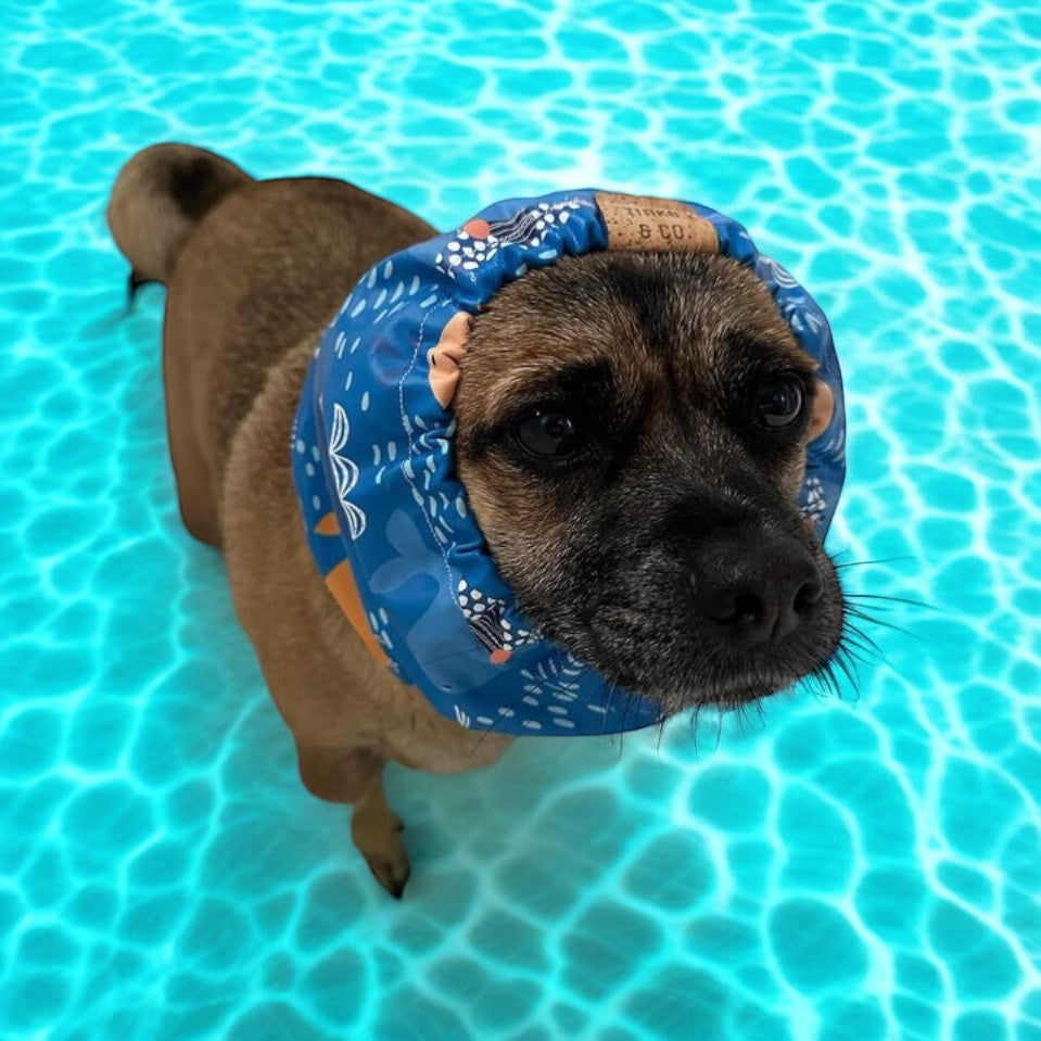 Bath Time Whale | Snood