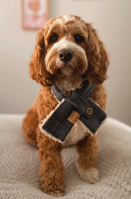 Winter | Limited Edition - Dog Scarf