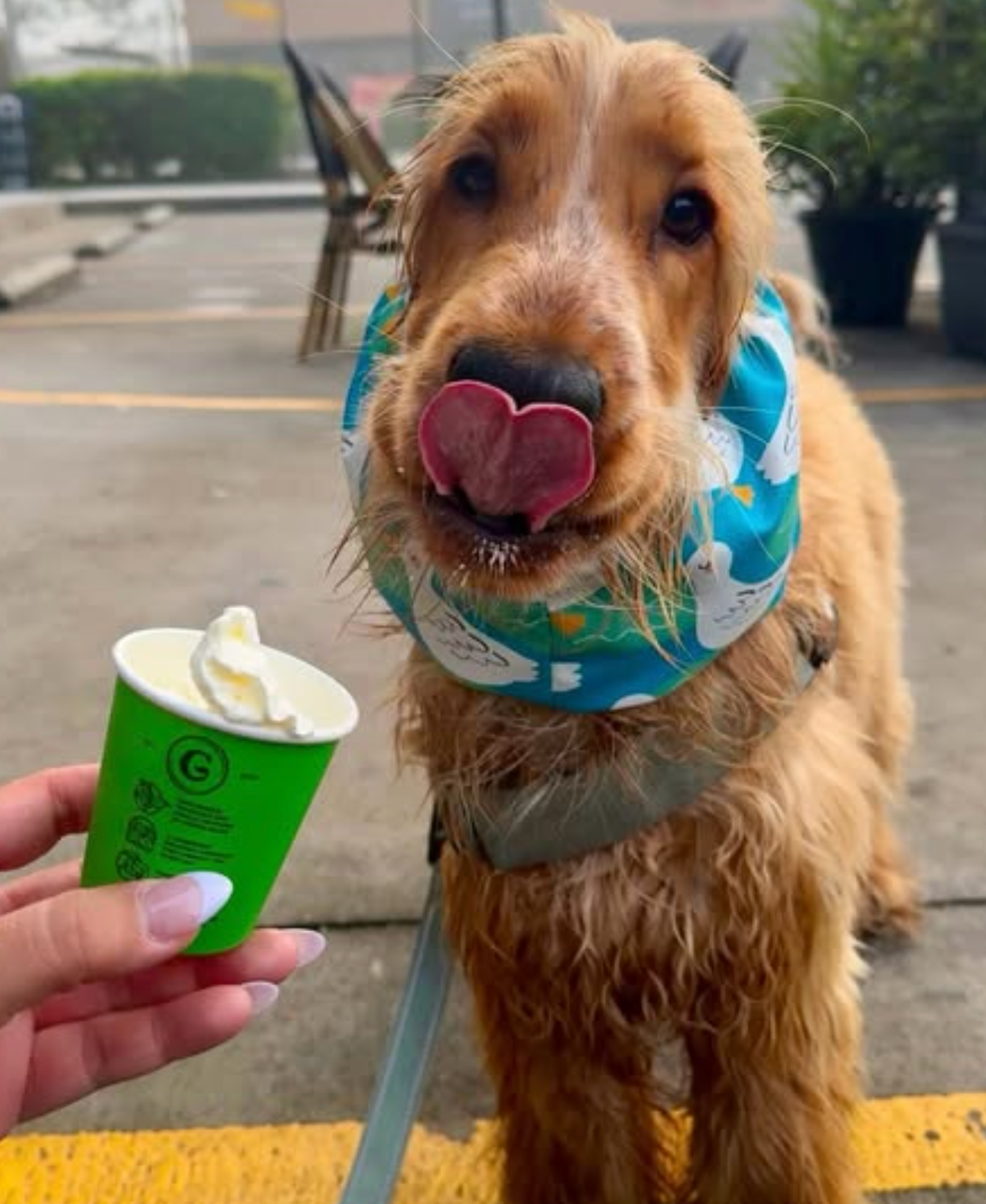 Bath Time Bird | Snood