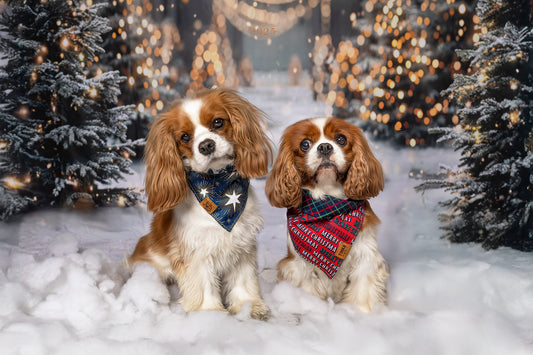 Limited Edition - Merry Tartan | Reversible Dog Bandana