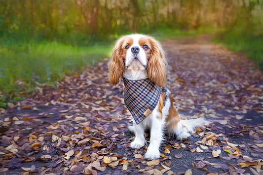 Yorkshire Houndstooth | Dapper Dog Bandana