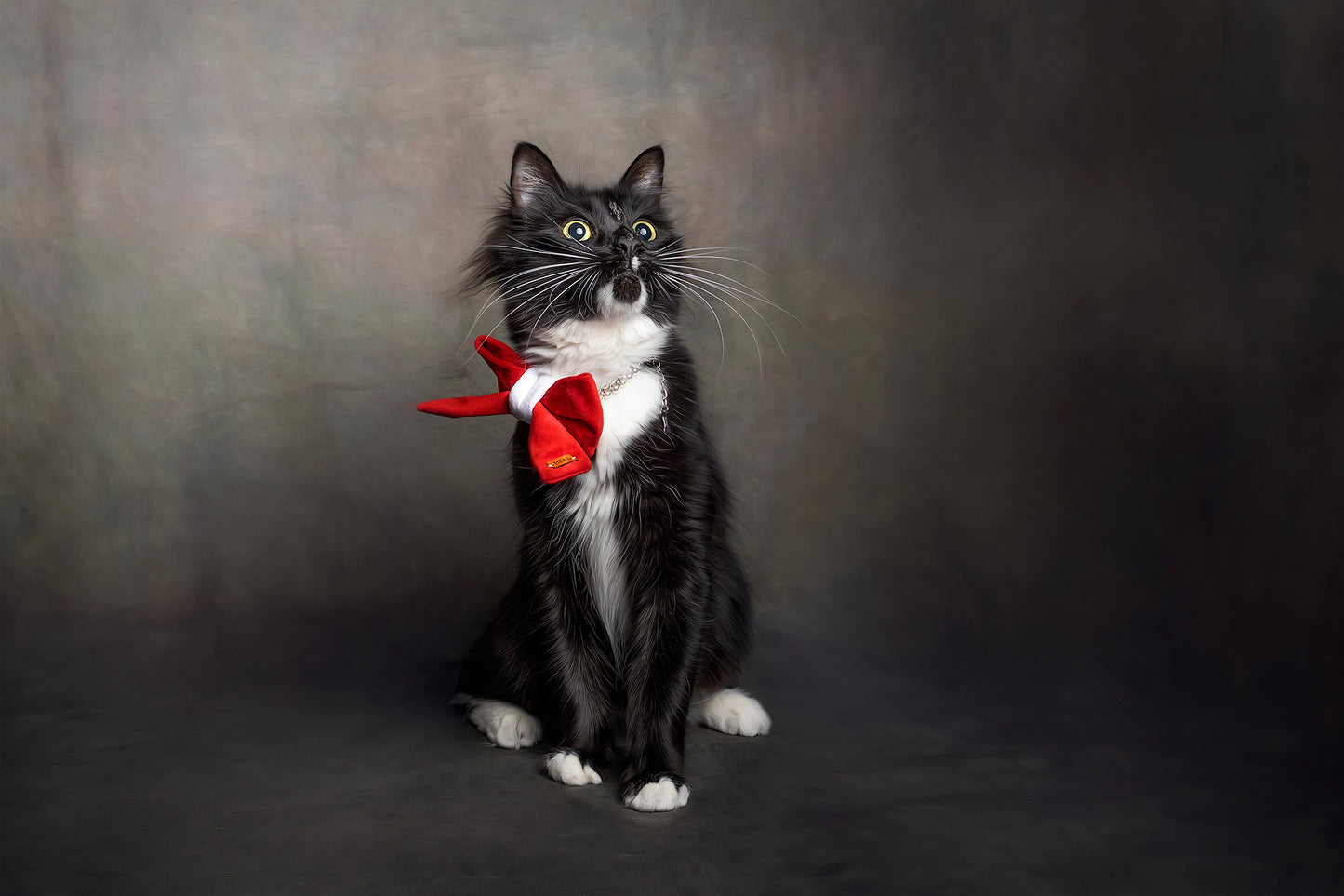 Sailor Christmas Bow-Ties