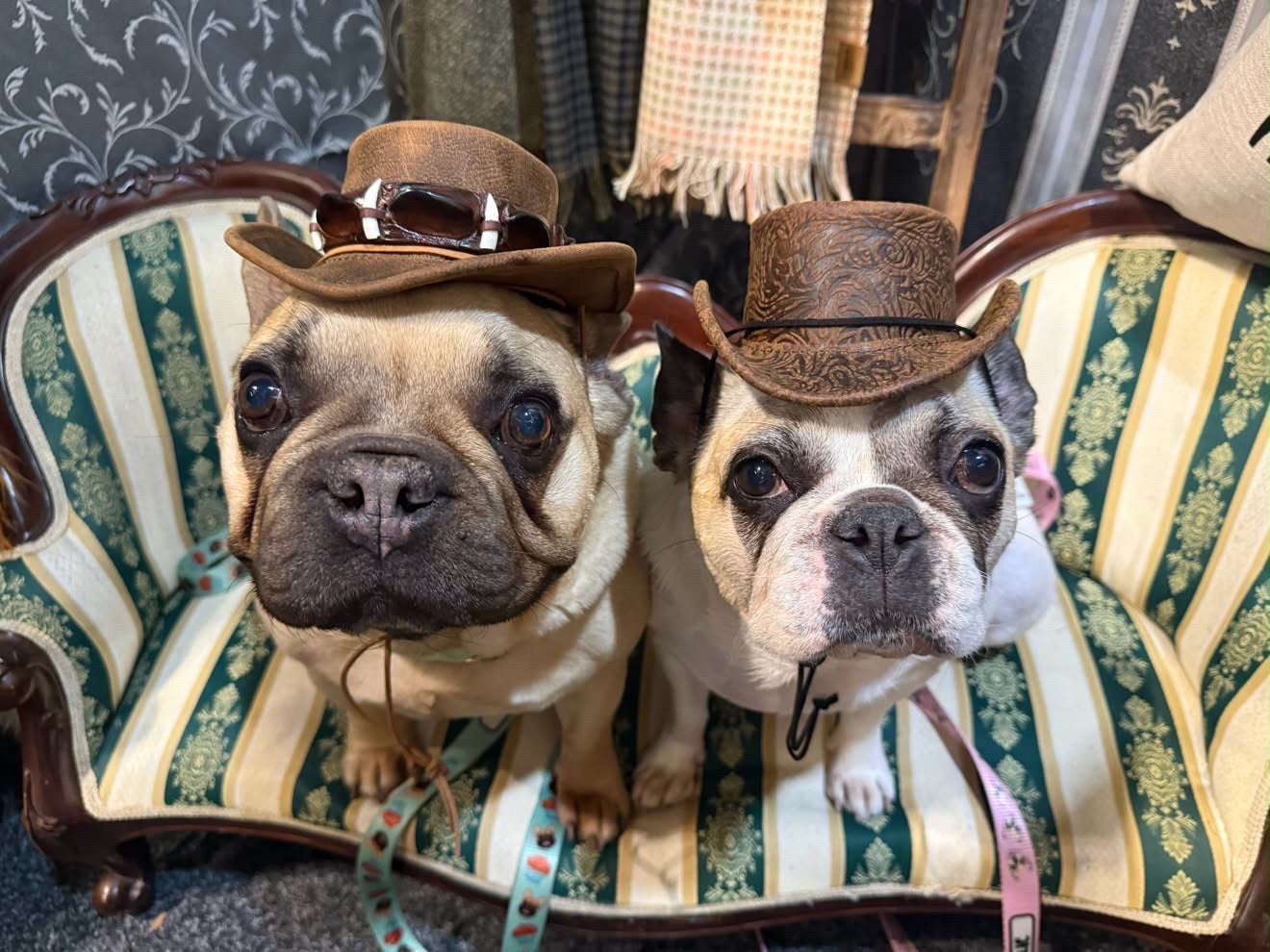 Hats