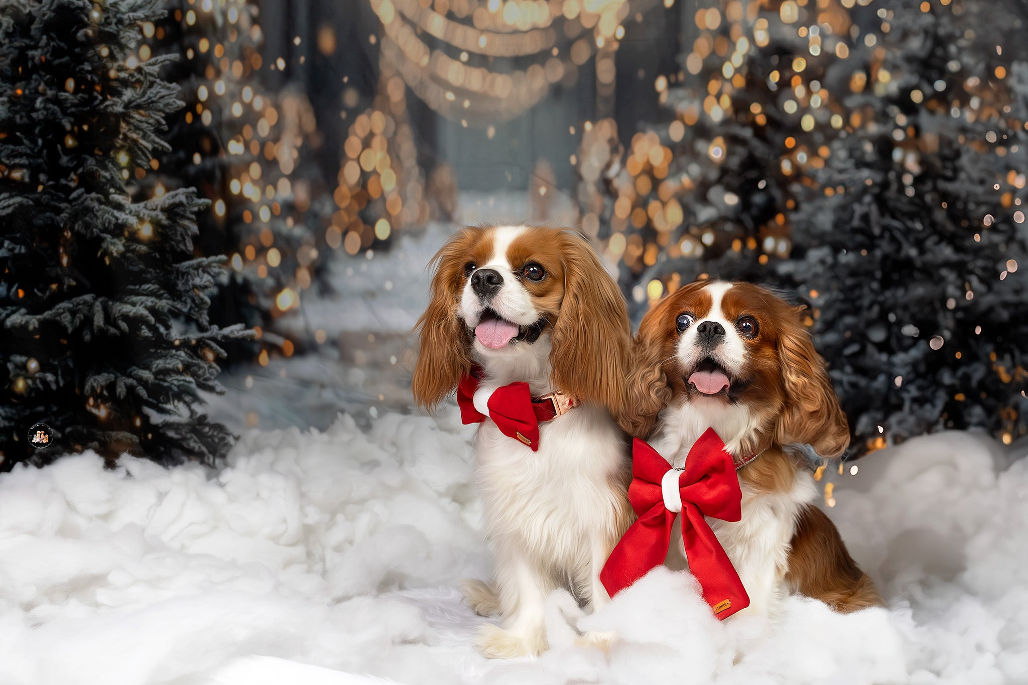 Christmas Dog Bandanas 