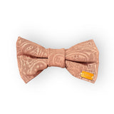 Brown Paisley  Print Edit Dog Bow Tie  — Handmade in Australia