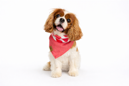 Heartbreaker - Dapper Dog Bandana