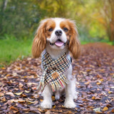 Spruce London Houndstooth | Button-Up Dog Scarf — Handmade in Australia