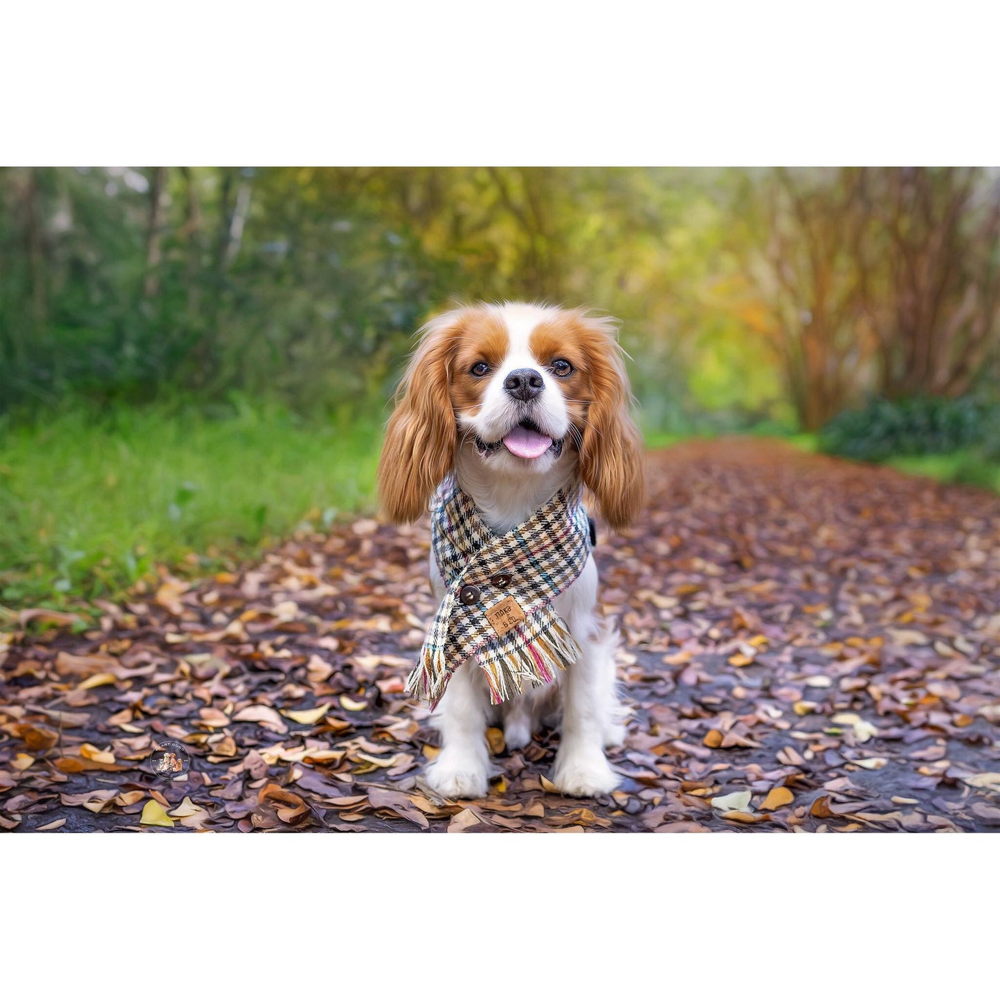 Spruce London Houndstooth | Limited Edition - Dog Scarf