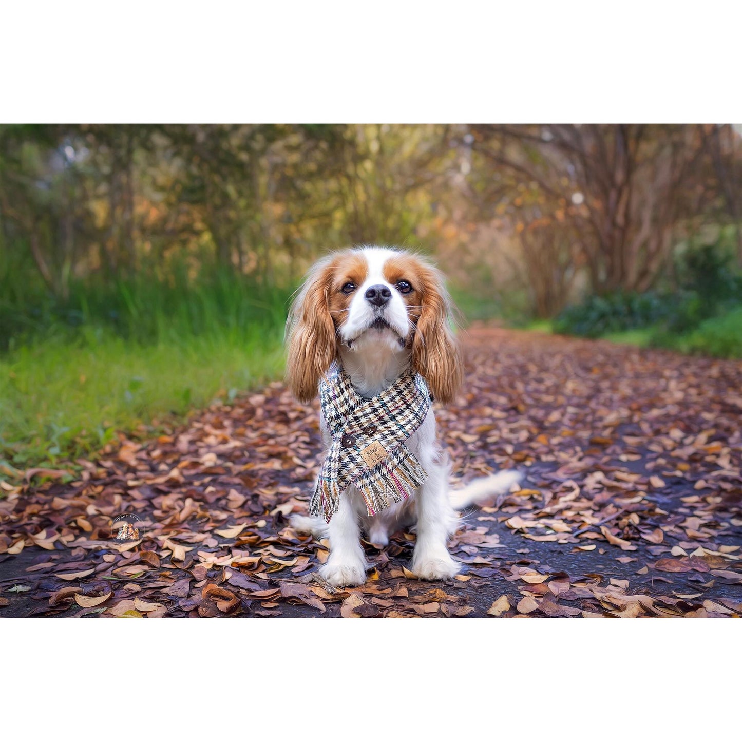 Spruce London Houndstooth | Limited Edition - Dog Scarf