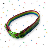 Pride | Dog Collar