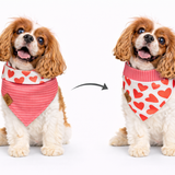 Heartbreaker Dog Bandana — Handmade in Australia