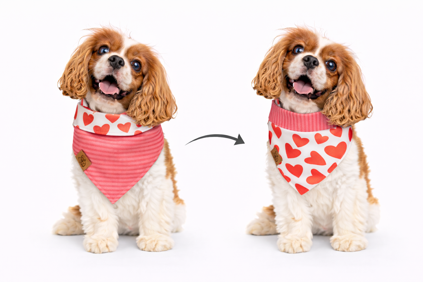 Heartbreaker - Dapper Dog Bandana
