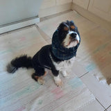 Metallic Tartan Yarn | Dog Snood