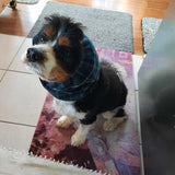 Metallic Tartan Yarn | Dog Snood