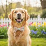 A multicolored checkered dog bow-tie in shades of pink and yellow, displayed on a gray background.