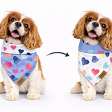 Blush & Dash Dog Bandana — Handmade in Australia