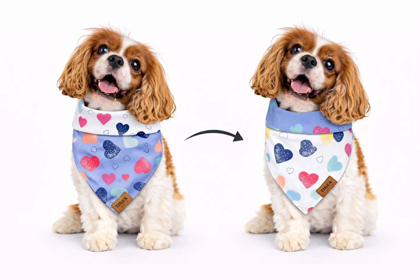 Blush & Dash - Dapper Dog Bandana