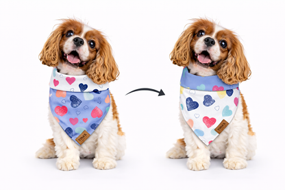 Blush & Dash - Dapper Dog Bandana