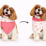 Love Struck Dog Bandana — Handmade in Australia