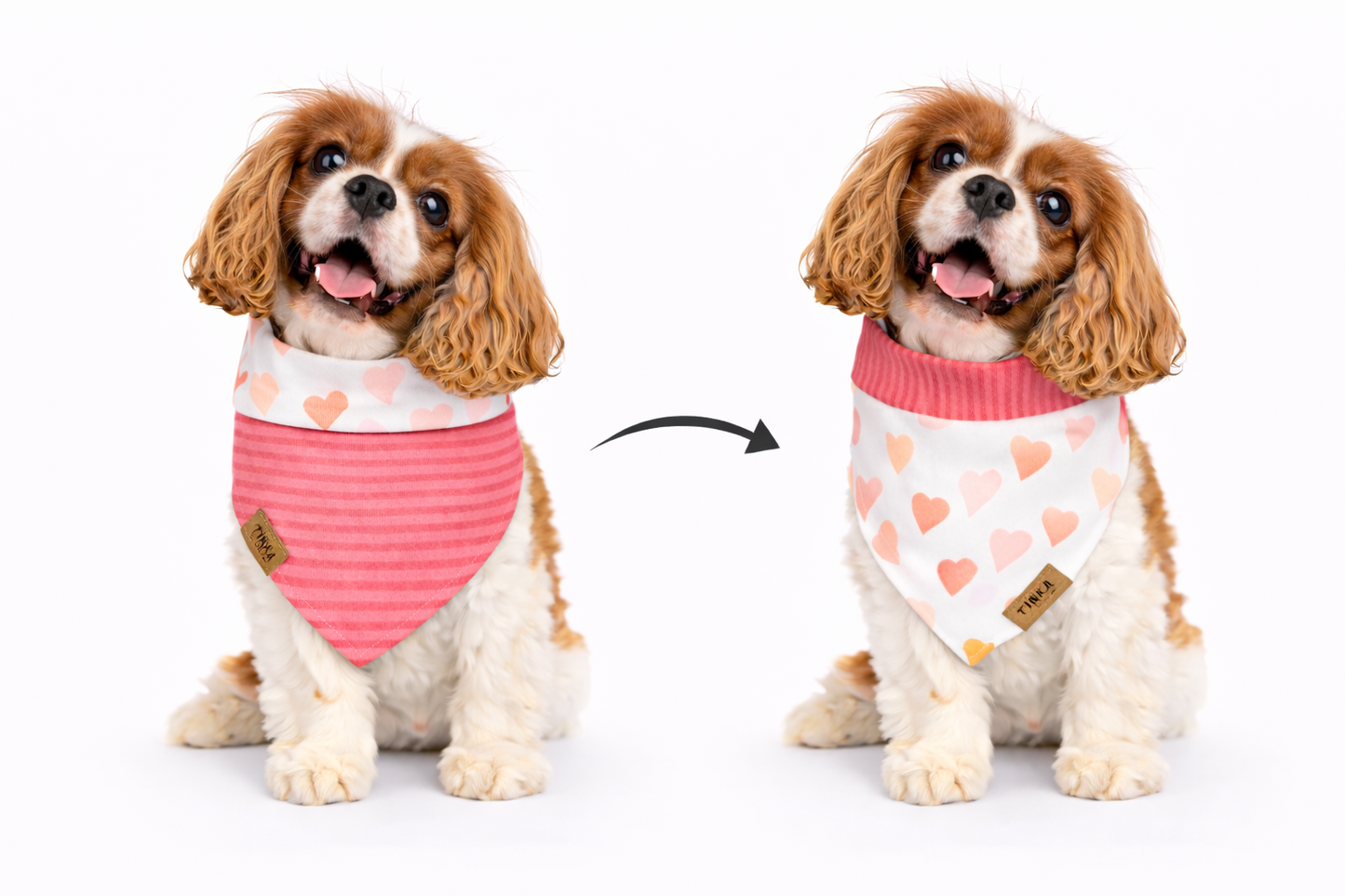 Love Struck - Dapper Dog Bandana