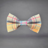 Golden Plaid Print Edit Dog Bow Tie — Handmade in Australia