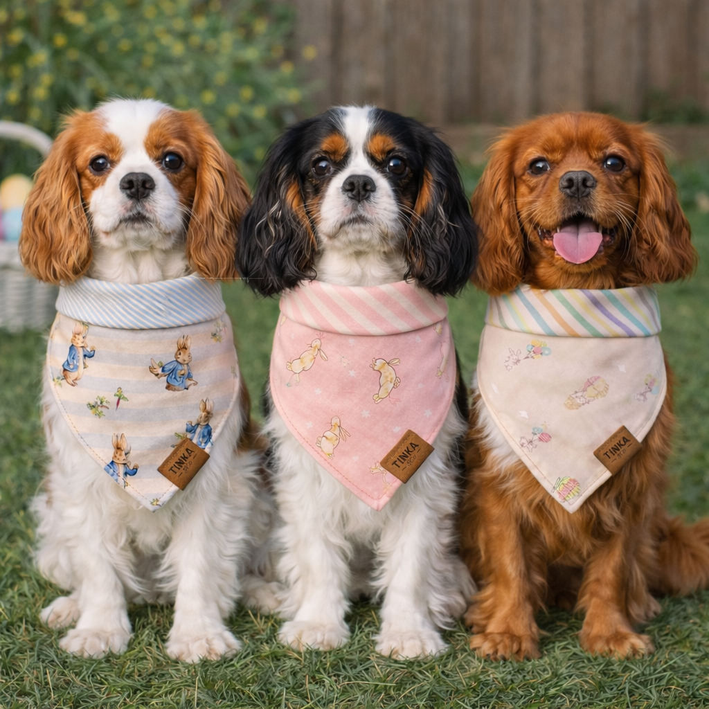 Pink Rabbit 2-in-1 Reversible Bandana