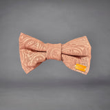 Brown Paisley  Print Edit Dog Bow Tie  — Handmade in Australia