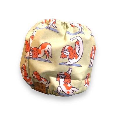 Yoga 🧘 King Charles Cavalier | Snood