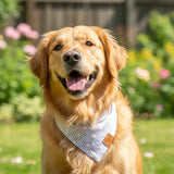 A blue checkered dog bandana with white floral patterns and a label showing the brand name.