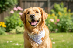 A blue checkered dog bandana with white floral patterns and a label showing the brand name.