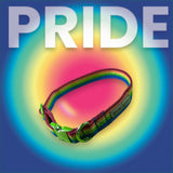 Pride | Dog Collar