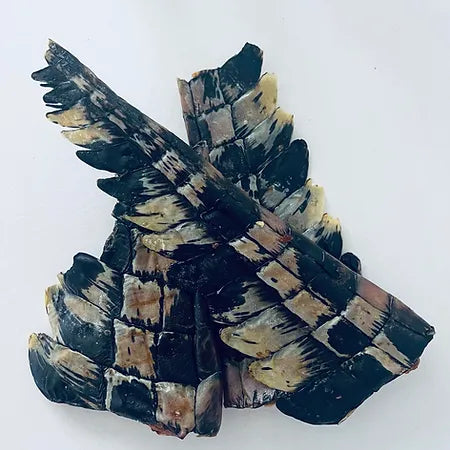 Crocodile Tails | Freeze-Dried Dog Treats