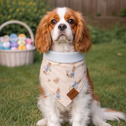 Peter Rabbit 2-in-1 Reversible Bandana