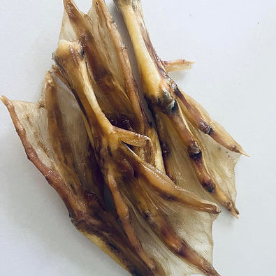 Duck Feet | Dehydrated Dog Treats
