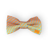 Burnt Orange  Print Edit Dog Bow Tie — Handmade in Australia