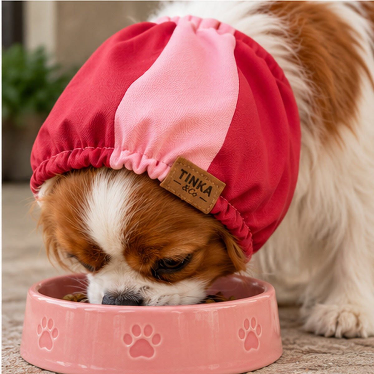 A small brown and white dog wearing a pink and red petSnood with a TINKA & CO label, eating from a pink dog bowl.