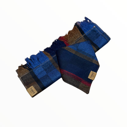 Blue Bundle: Human Scarf and Matching Dog Bandana