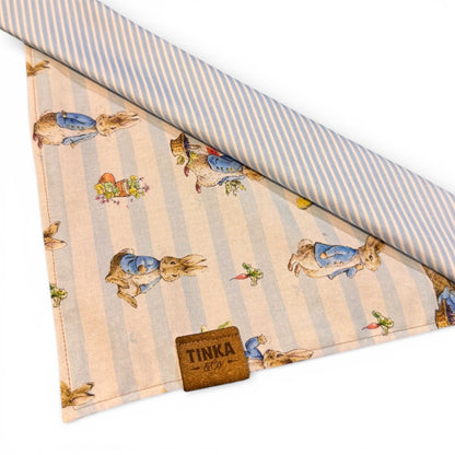 Peter Rabbit 2-in-1 Reversible Bandana