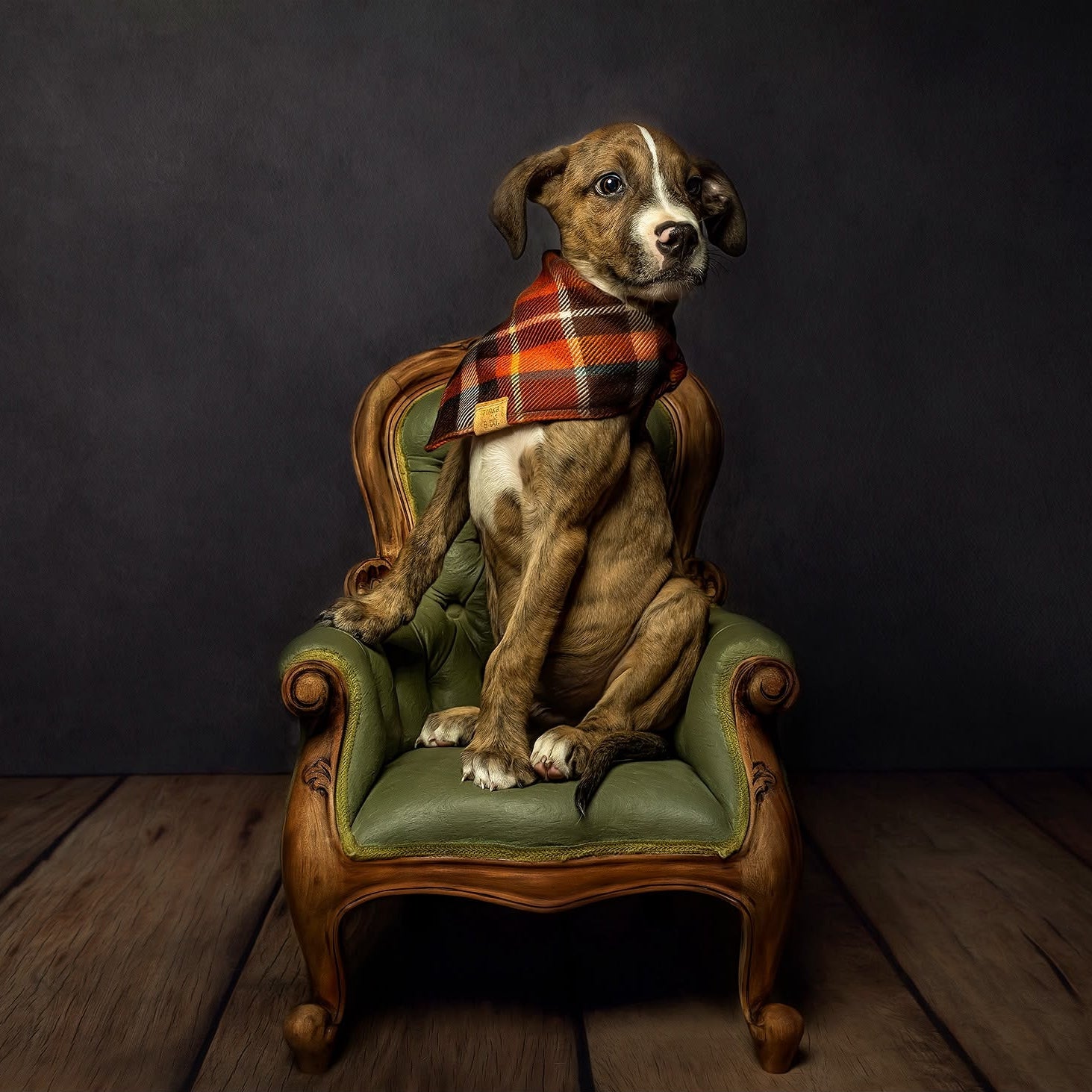 Marmalade wool plaid dapper dog bandana on a green armchair by Tinka & Co