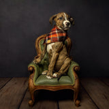Marmalade wool plaid dapper dog bandana on a green armchair by Tinka & Co