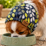 A small brown and white dog wearing a navy blue pet hat with a green, yellow, and white leaf pattern, eating from a light green ceramic bowl. The hat has a brown leather patch with the brand name 'TINKA & CO'.