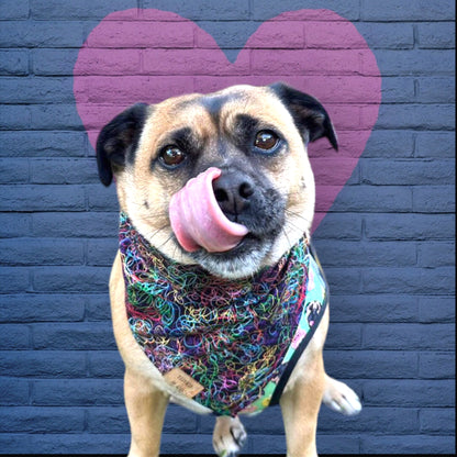 Rainbow Swirl | Dog Bandana