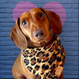 Leopard Dog Bandana — Handmade in Australia